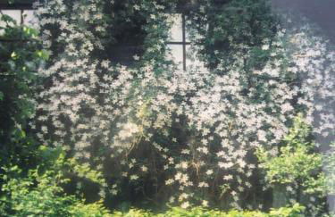 Haus Wagner - Foto 25