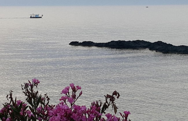 Sun Camero Apartments - Photo 42