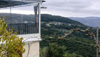 Cuckoo's view - Foto 5