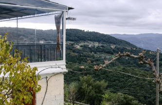 Cuckoo's view - Foto 5