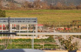 Milea Agritourism - Foto 21