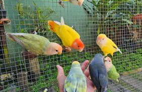 Casa espaçosa famíliar - Foto 17