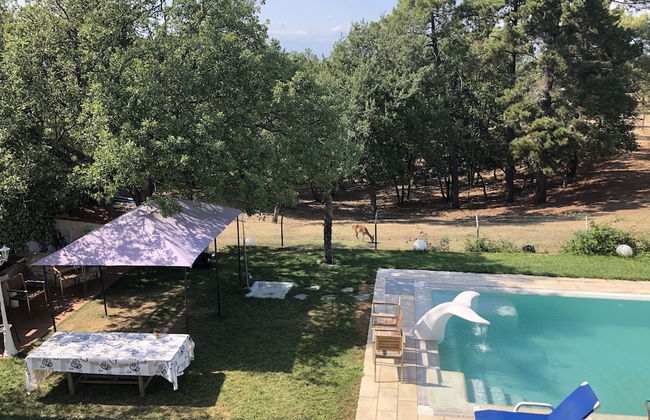 Bellavista - Foto 27