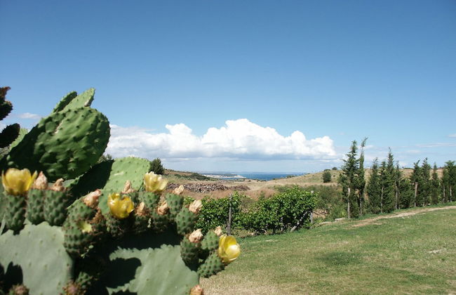 agriturismo borgo piazza - Photo 69