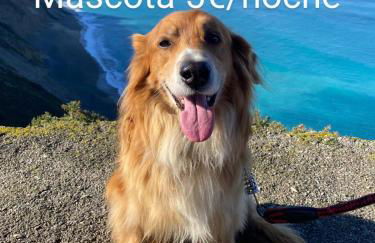 Casa Chisco - Foto 7