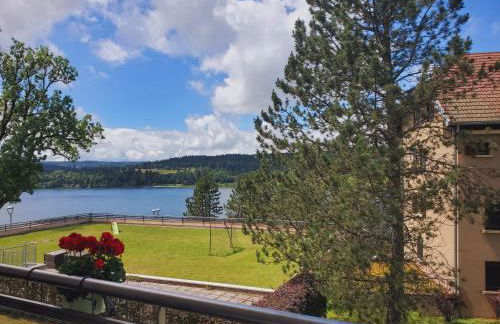 Lac Saint-Point au balcon - Foto 1