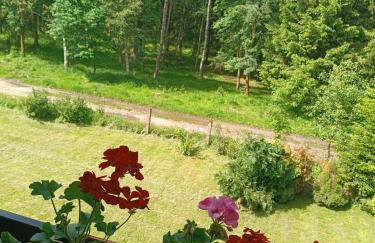 Strażnica Pod Lasem - Foto 51