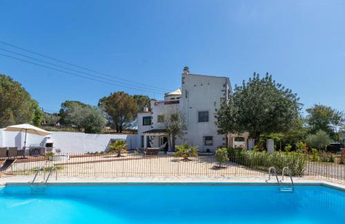 Mas Tinus - Lavanda - Photo 6