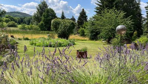 Piccola Casa - Foto 2