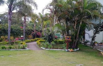 Caminho da Praia do Santinho - Foto 37