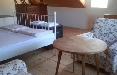 D HOUSE authentic Zlarin house, relaxing courtyard and terrace - Photo 9