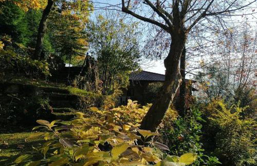 Gerês - Refúgio das Laranjeiras - Foto 8