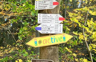 Brzozowa Osada - Foto 50