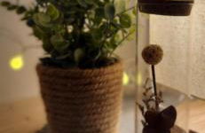 Zwönitz-Liebe - Foto 7