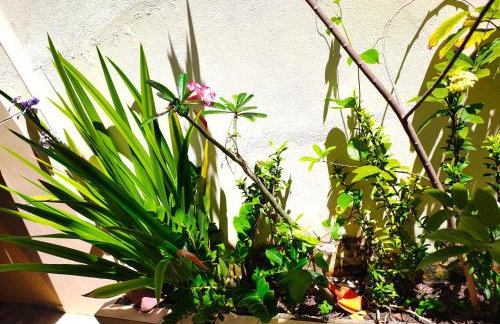 Casa barra tariri , conde - Foto 14