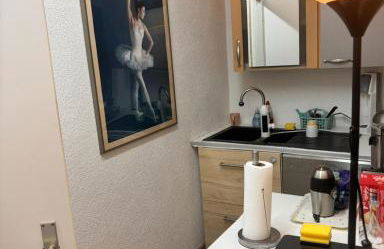 Wohnung am Wöhrder See - Foto 10