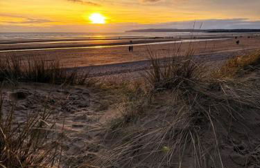 Rock Lobster - Foto 6