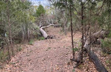 Country Oasis - Entire Home - Foto 28