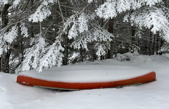 Bear Essentials Lakefront Hideaway - Foto 27