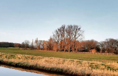Auszeit vom Alltag in urigem Ferienhaus in idyllischer Natur im Dümmer-Weserland, Sauna & Kraniche - Foto 18