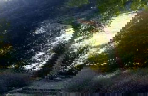 Gite Belle Vie - Foto 19