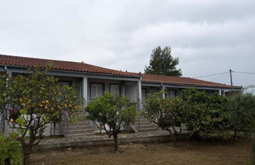 Panorama Rooms - Foto 51