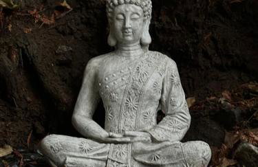 Mill Valley Outpost - Foto 17