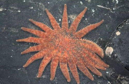 Rustic Cabin Rental for a Secluded Escape to Whale Island, Alaska - Foto 18