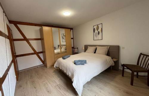 Gîte de la Fontaine Charmante maison au cœur de Beblenheim - Route des vins - Foto 8