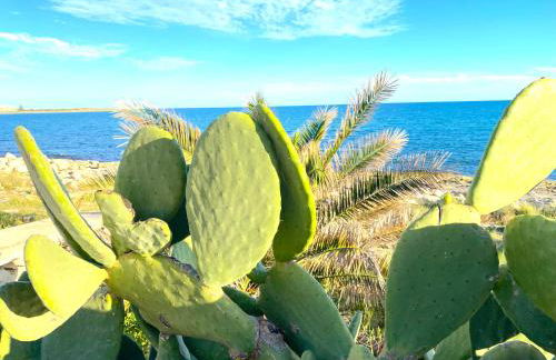 Villetta Conteamare - Foto 65