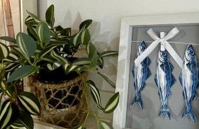 Olivier house - Foto 21