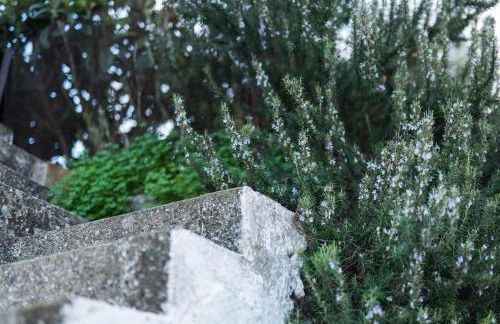 Jasmine Holiday Villa - Foto 43