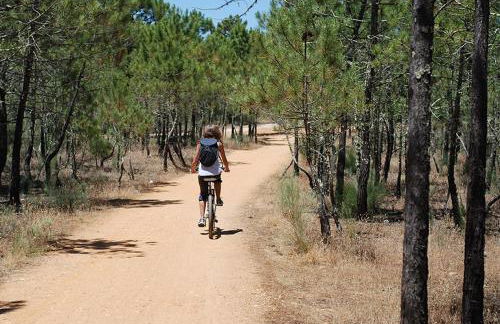 Apartamentos Dom Henrique - Foto 32