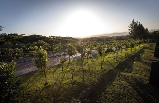 48 The Woods Elaleni - Foto 26