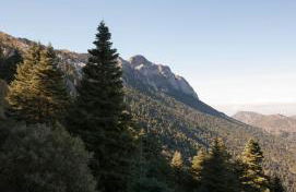 LA CRUZ DE LA ATALAYA - Foto 28