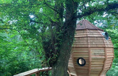 Domaine des Étoiles - Logements Insolites - Foto 124