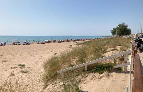 Suliscia open space di Sulemmari - Foto 14