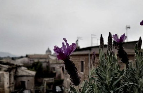 Residenza Santa Croce nel cuore dell'Agro Falisco - Photo 18