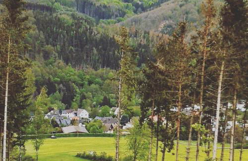 Ferienwohnung Eifelblick - Foto 80