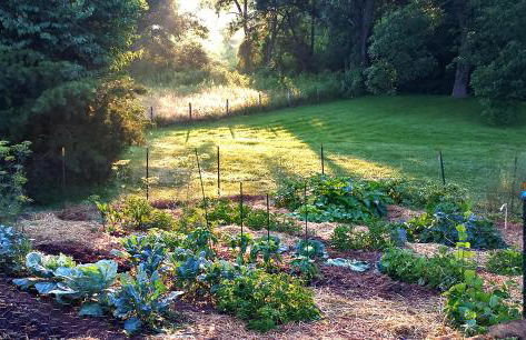 Walnut Run Farm - Foto 25