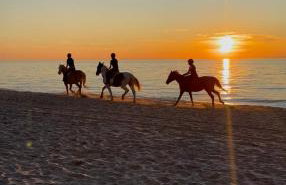 Morski Las - Foto 68