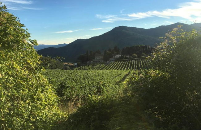 Agriturismo Poggio di Montepescoli - L'aia - Foto 32