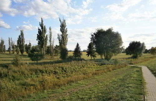 Wohnen im ehemaligen Kaminstudio mit Klimaanlage - Foto 44