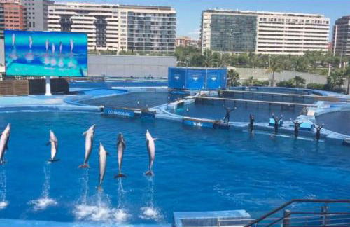 Apartamento Turístico en Valencia - Photo 48