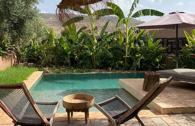 Le Figuier du lac - Photo 16