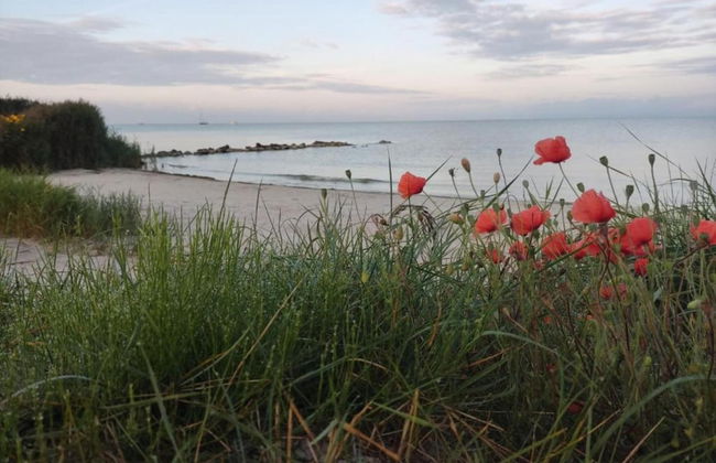 Sunny Apartment Directly on the Heegermeer - Foto 38