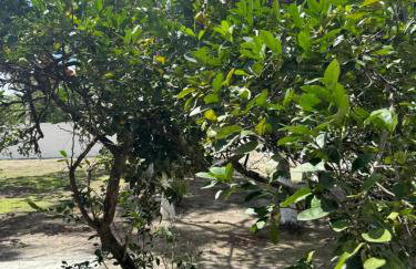 Malicia Ranch - Foto 25