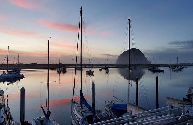 Gray's Inn & Gallery - Foto 32