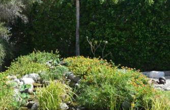 Live the Mid Mod Life at Mariposa Palms - Foto 16