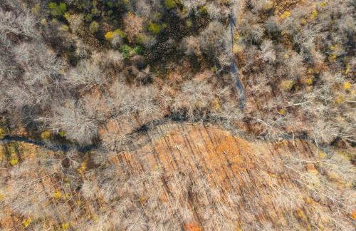 Luxury 4BR in Hudson Valley on a 8 Acre Estate - Hot Tub, Large Firepit, Oversized 38 Ft Deck! - Foto 38